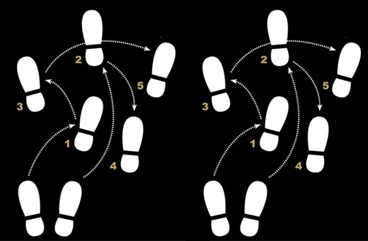 Que tal aprender a sambar no pé?