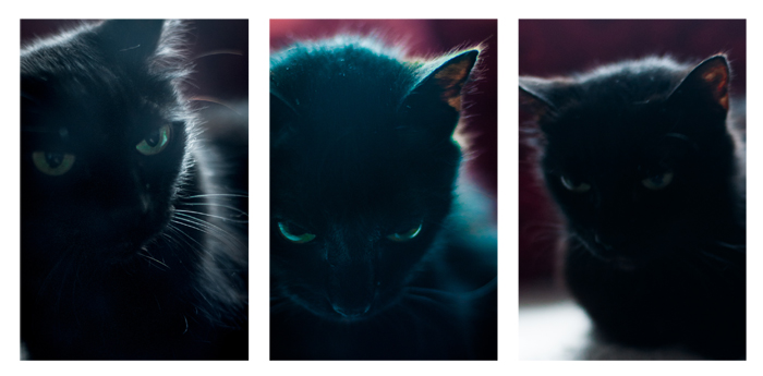 Sobre as pequenas mortes de fim de ano