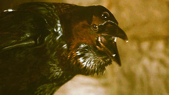 O teaser de Game Of Thrones Season 3: Three-Eyed Raven Tease