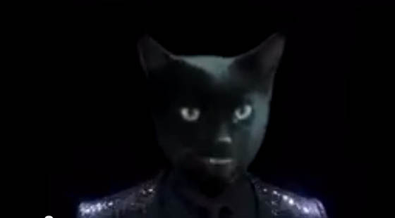 Cover de “Get Lucky” por um… gato!