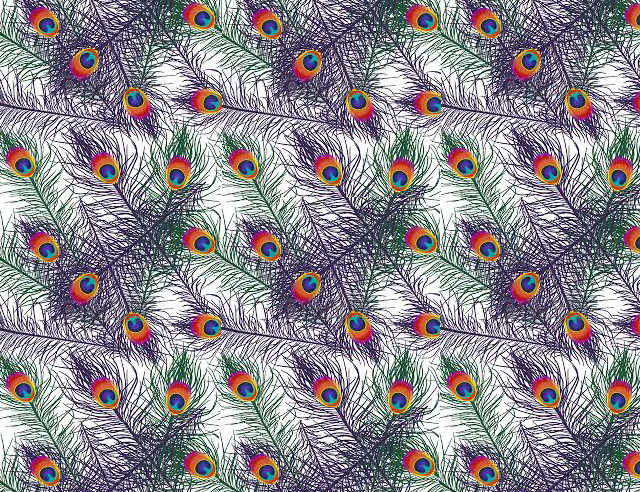 Arrogância e Prepotência