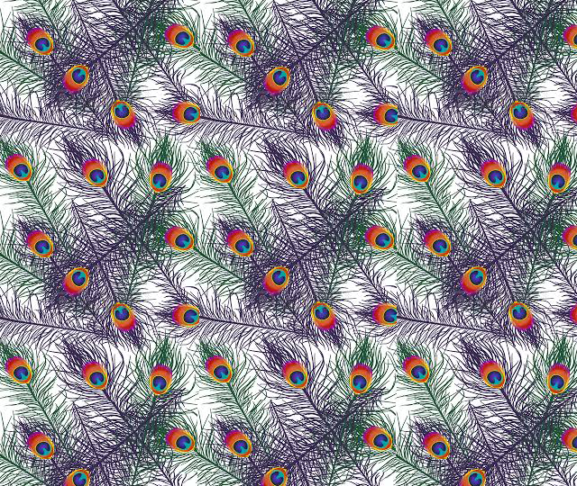 Arrogância e Prepotência